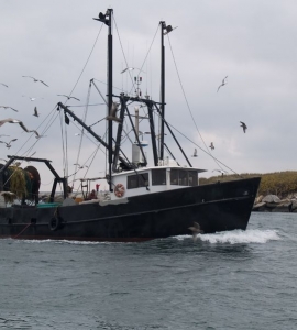 Boat Fishing