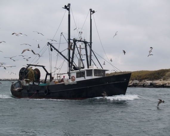 Boat Fishing