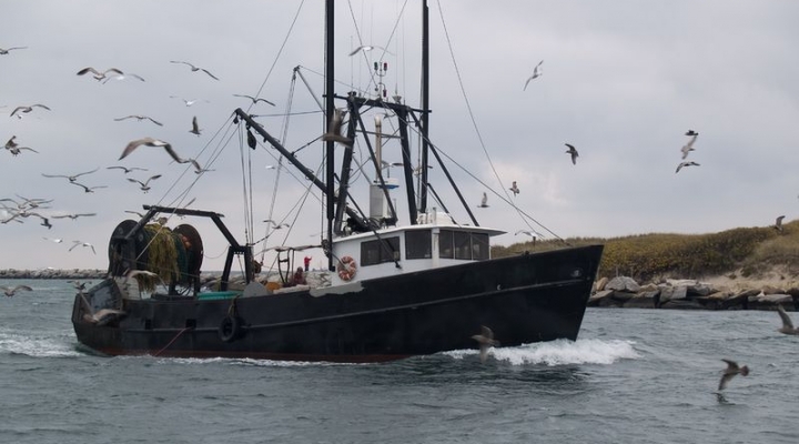 Boat Fishing