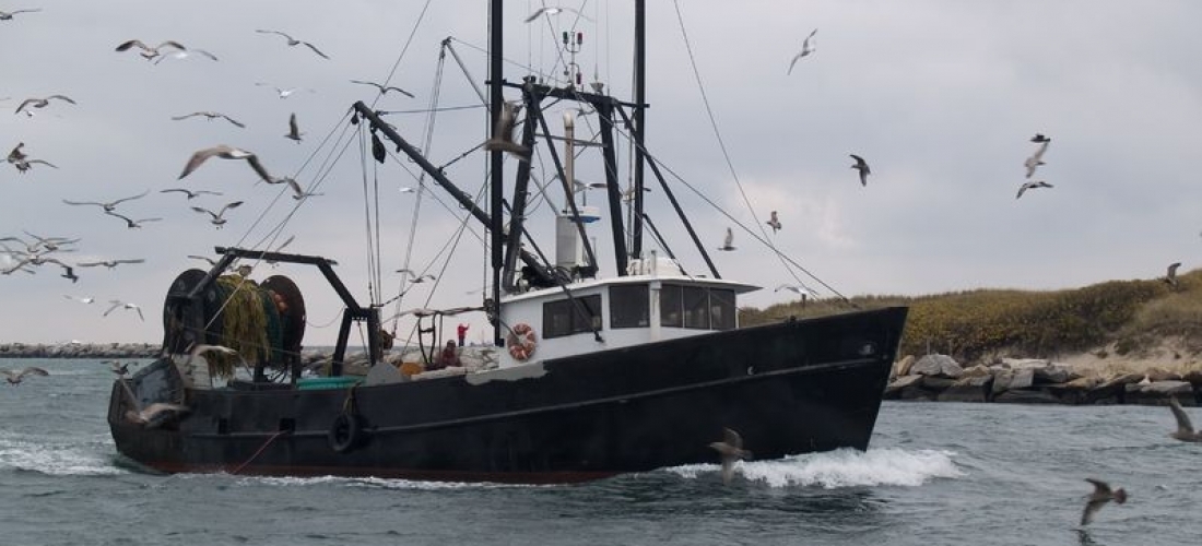 Boat Fishing